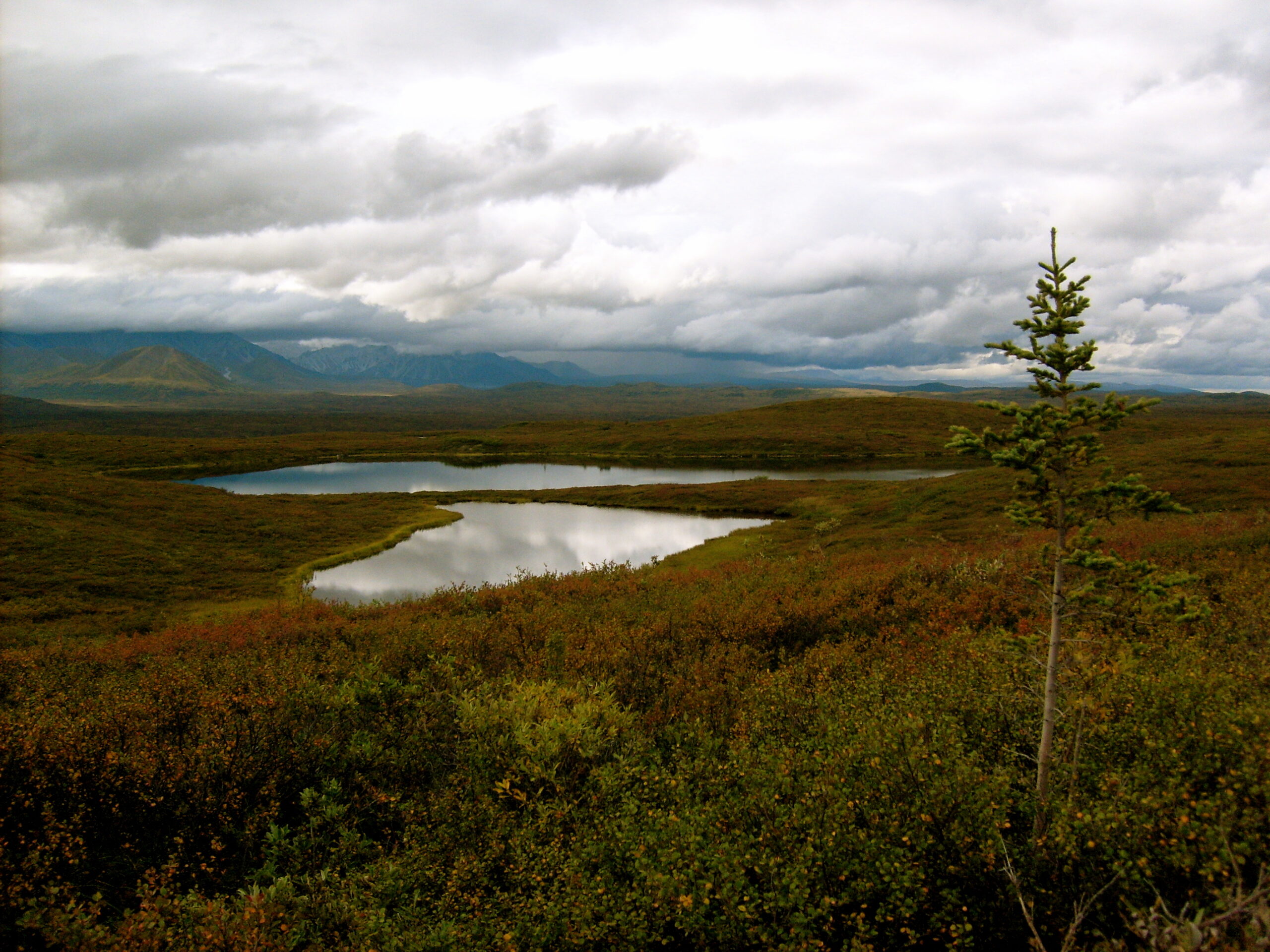 Mountain lakes can be seen throughout Denali National Park.