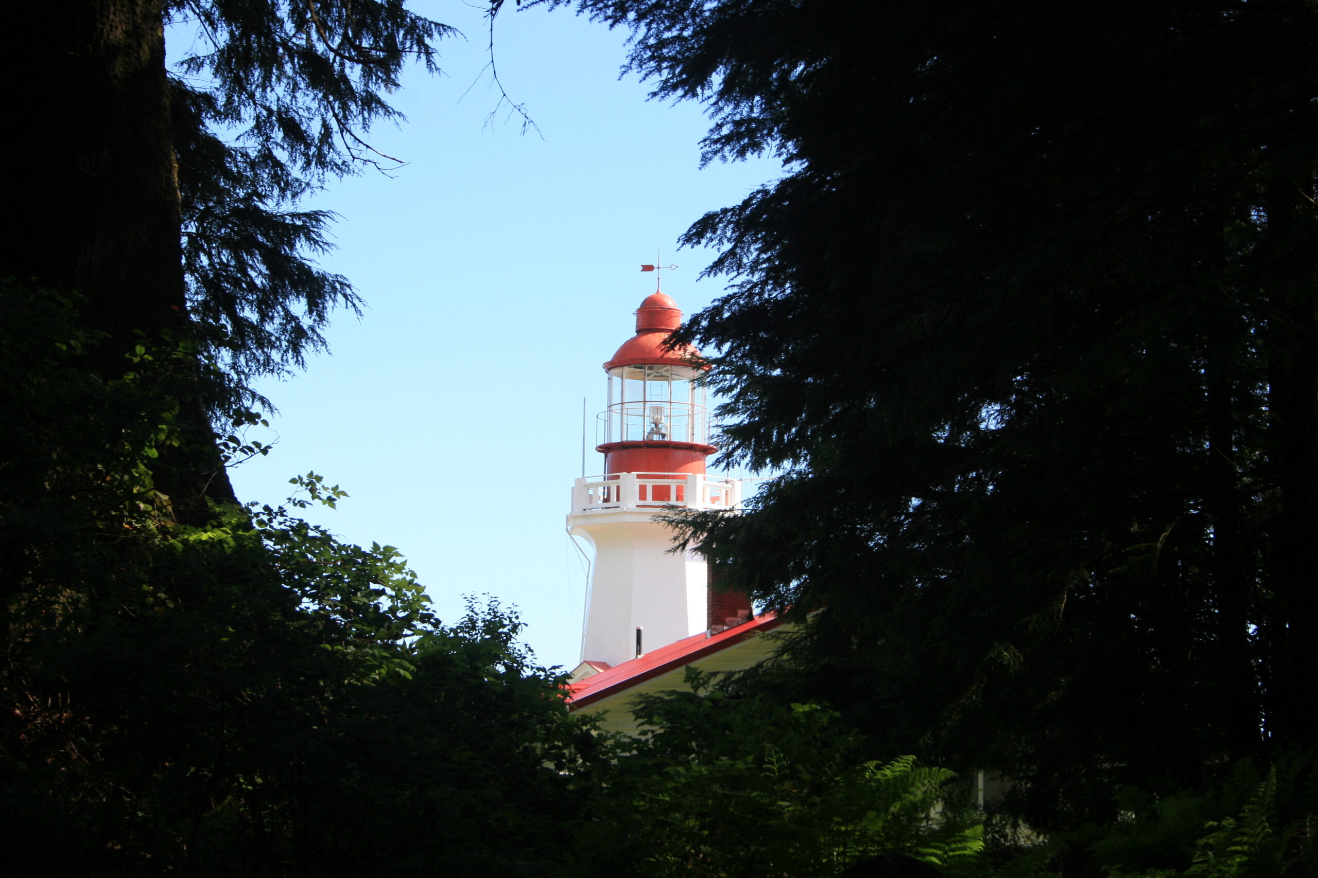 Carmanah Lighthouse peaks out through a gap in the forest