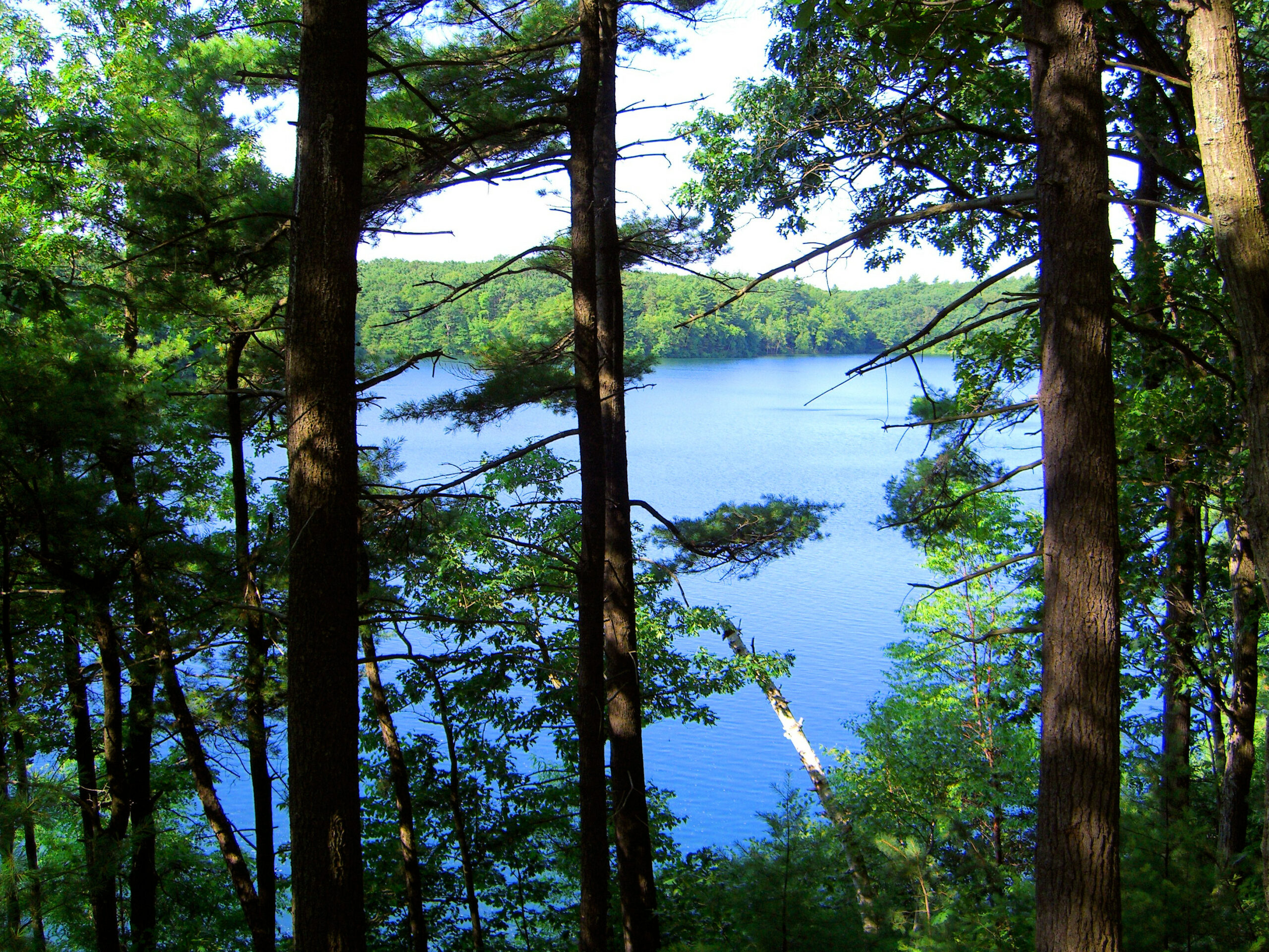 Walden Pond, in Concord, Massachusetts, is the location where Henry David Thoreau wrote his most famous work.