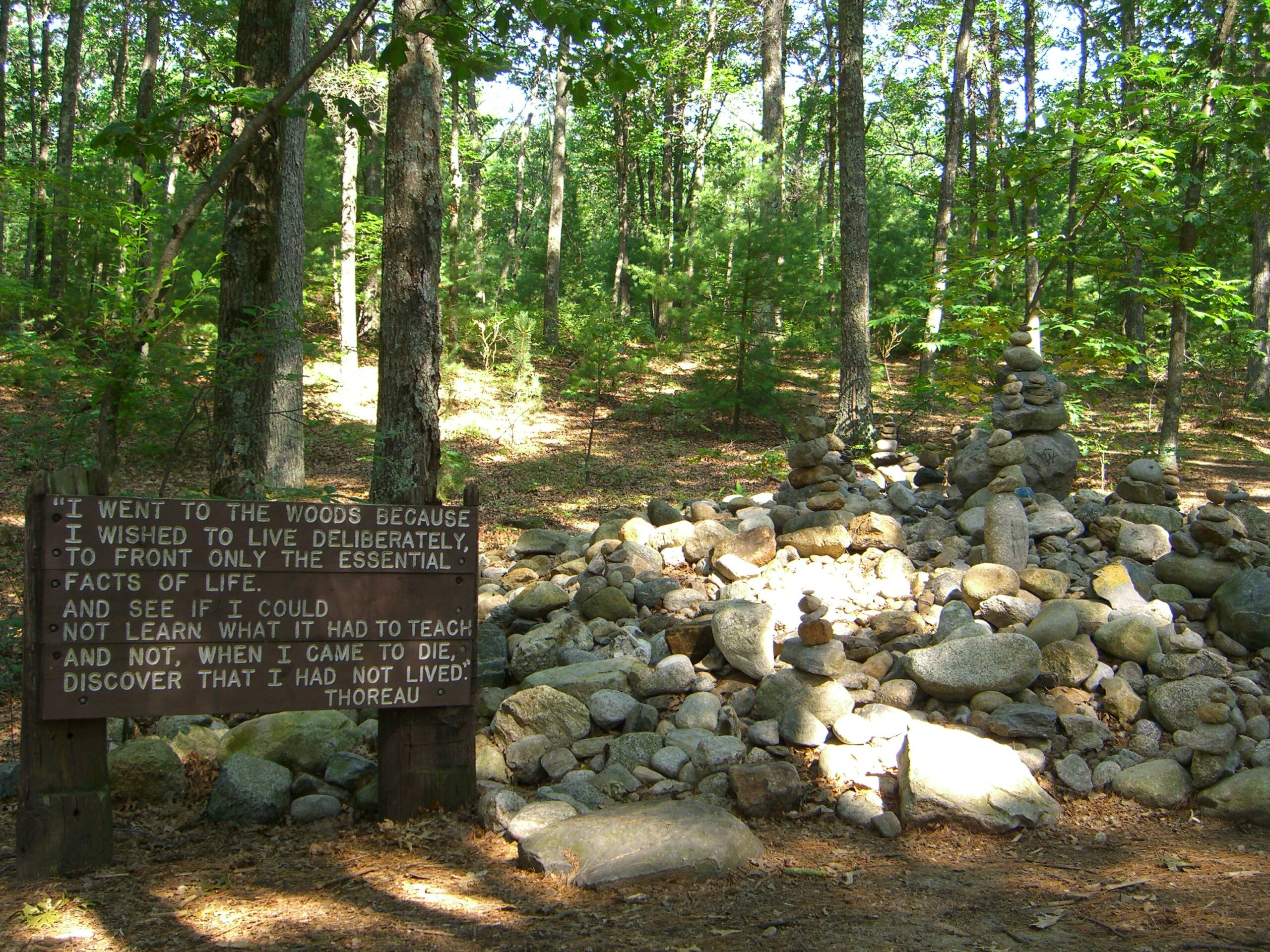 A sign serving as a tribute to Thoreau stands in the forest near Walden Pond.