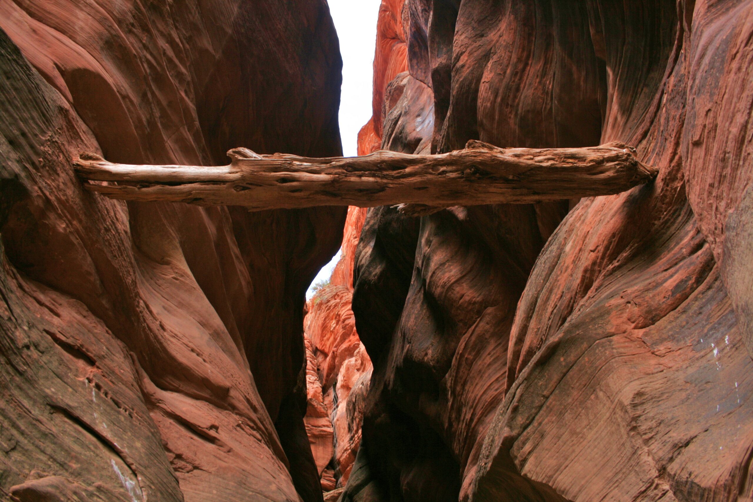 A log sits, wedged between the walls of Buckskin Gulch, from a previous flash flood.