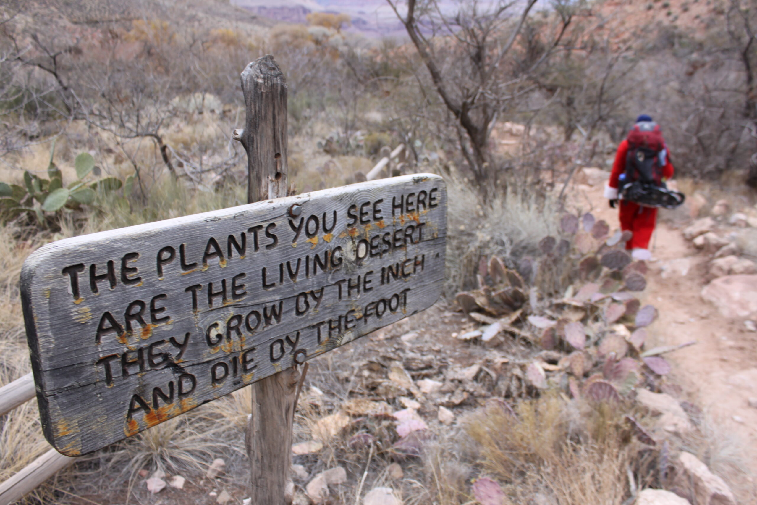 A sign reminds hikers to be respectful of plants in the Grand Canyon.
