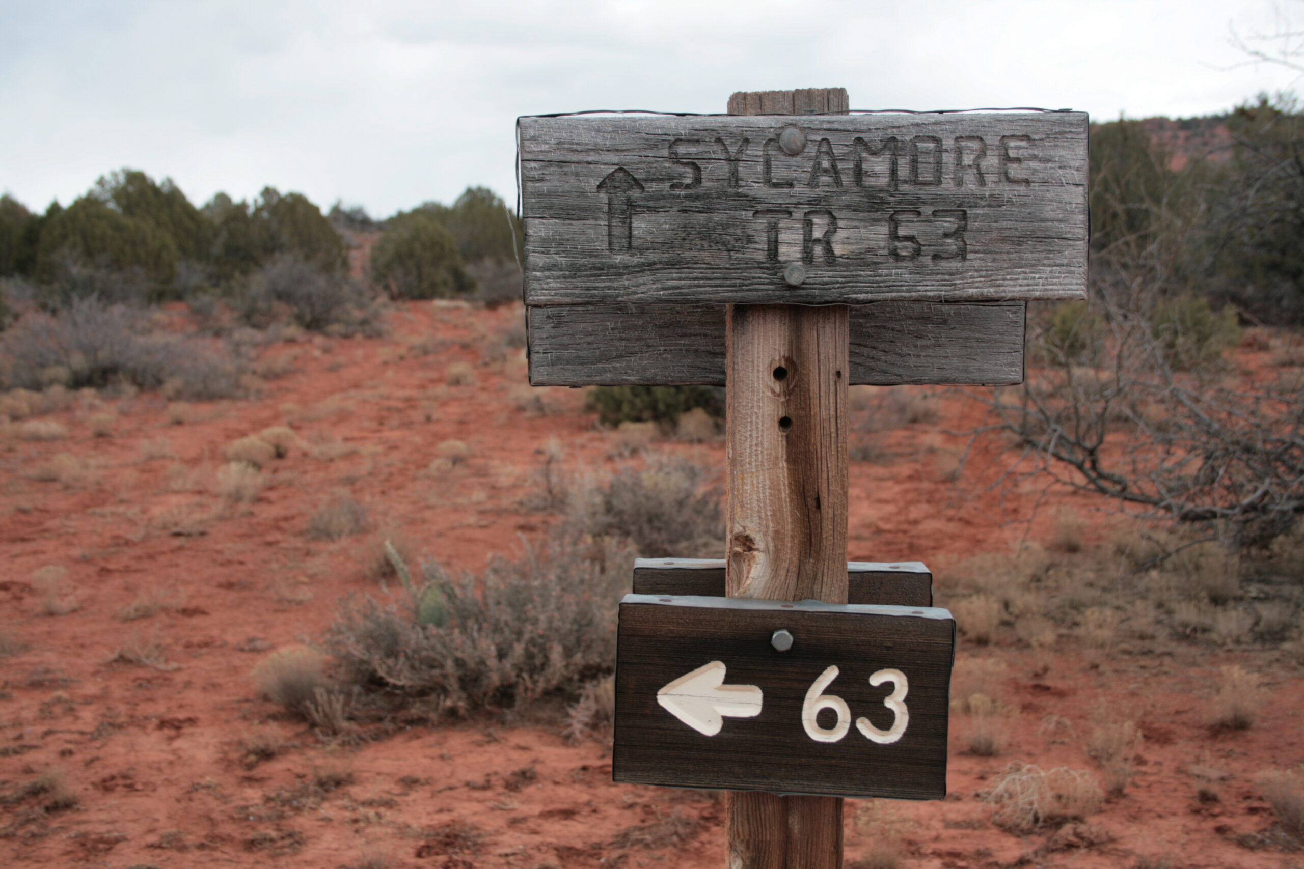 An exceptionally confusing trail sign near Sycamore Canyon, Arizona.