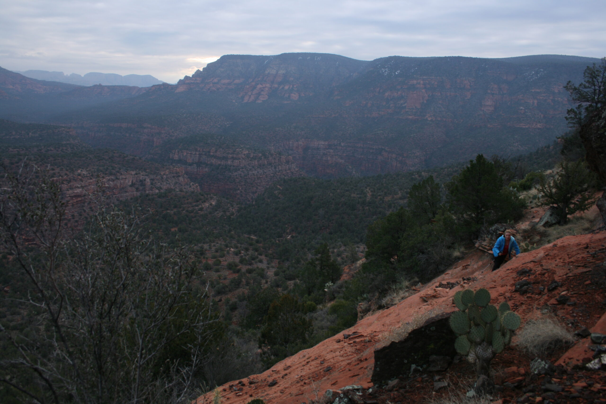 Wendy scales a sandstone ridge toward the rim of Sycamore Canyon.