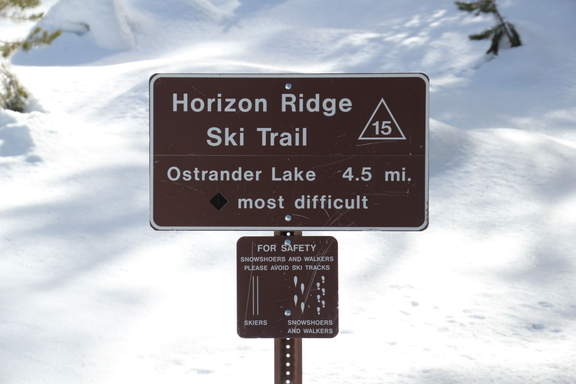 The Horizon Ridge Ski Trail signs warns that the route is "most difficult."