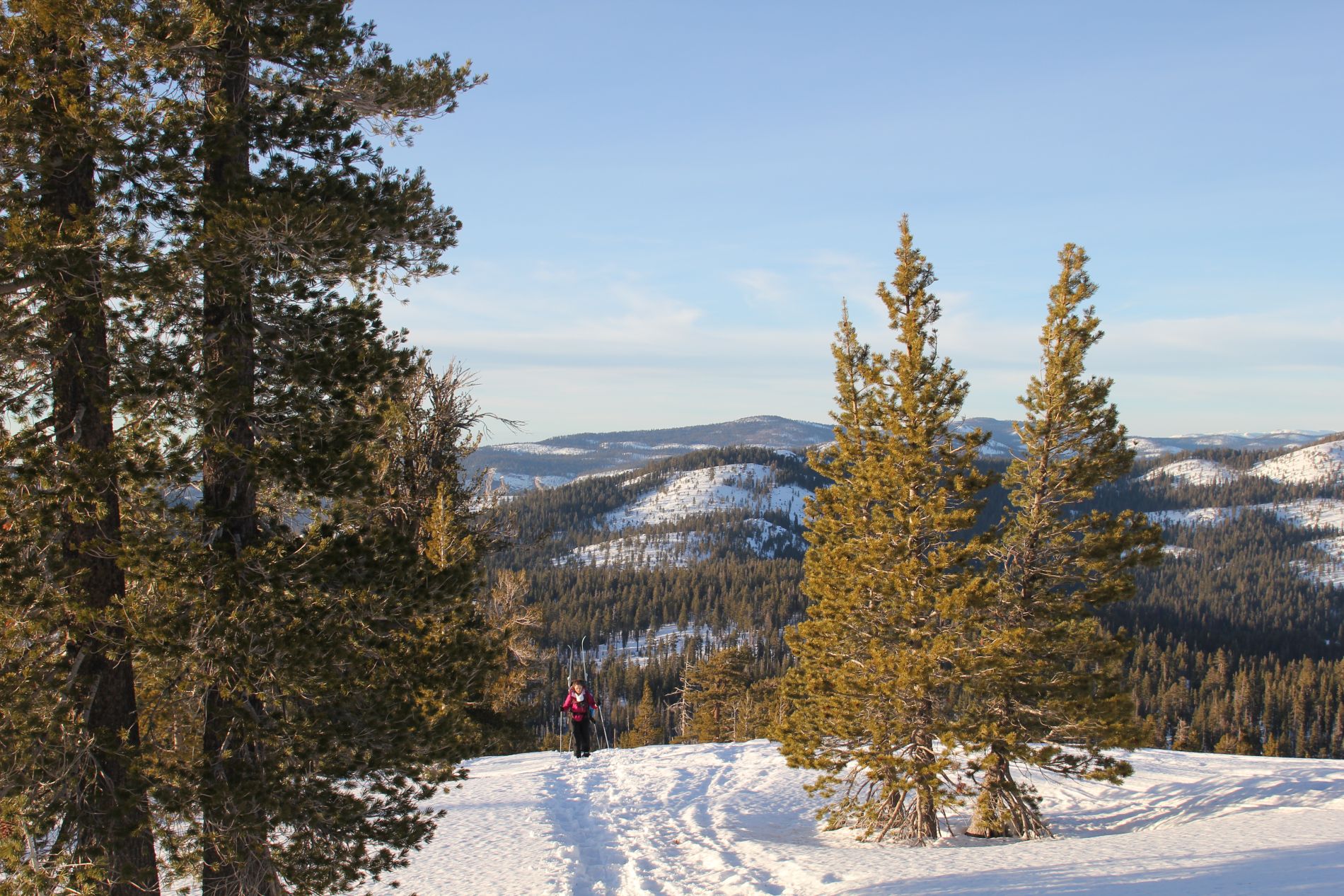 A skier stands on Yosemite's Horizon Ridge on the way to Ostrander Ski Hut.