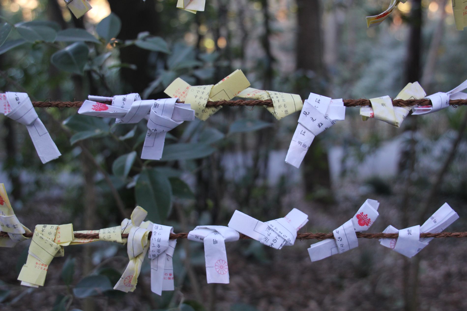 Folded omikuji hang from a wire fence.