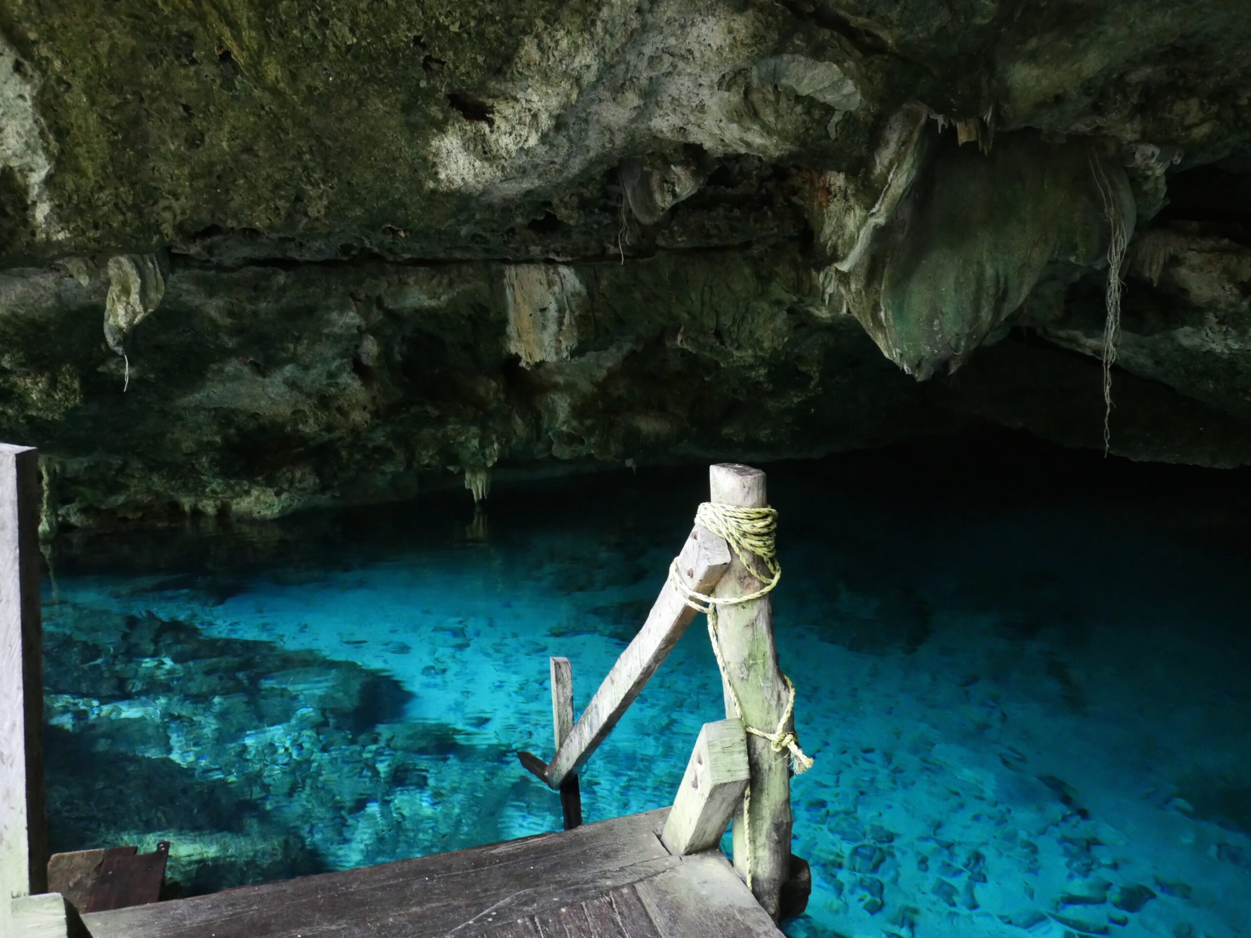 A cenote (limestone sinkhole) for swimming at the Dos Ojos cave system near Cancún, Mexico.