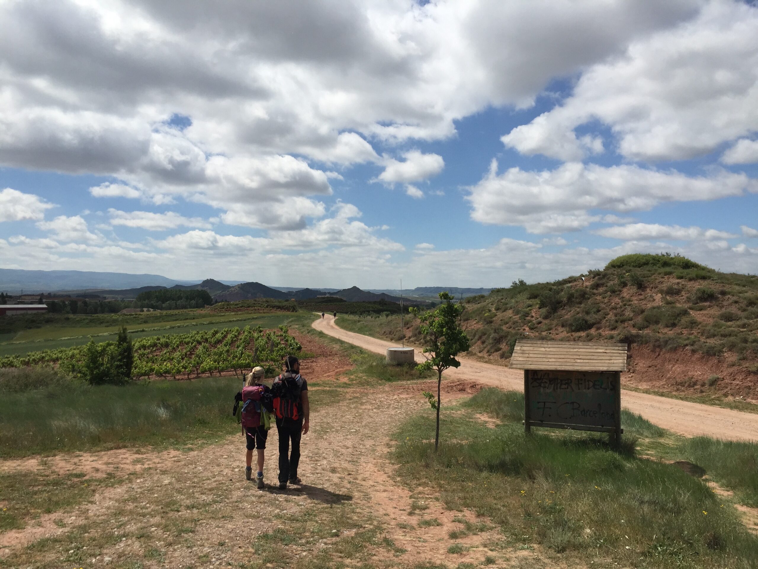 Hannah and Arnaud walk hand-in-hand on the way to N&aacute;jera, Spain on the Camino de Santiago.