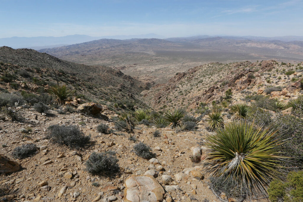 A view of Joshua Tree from Eagle Mountain
